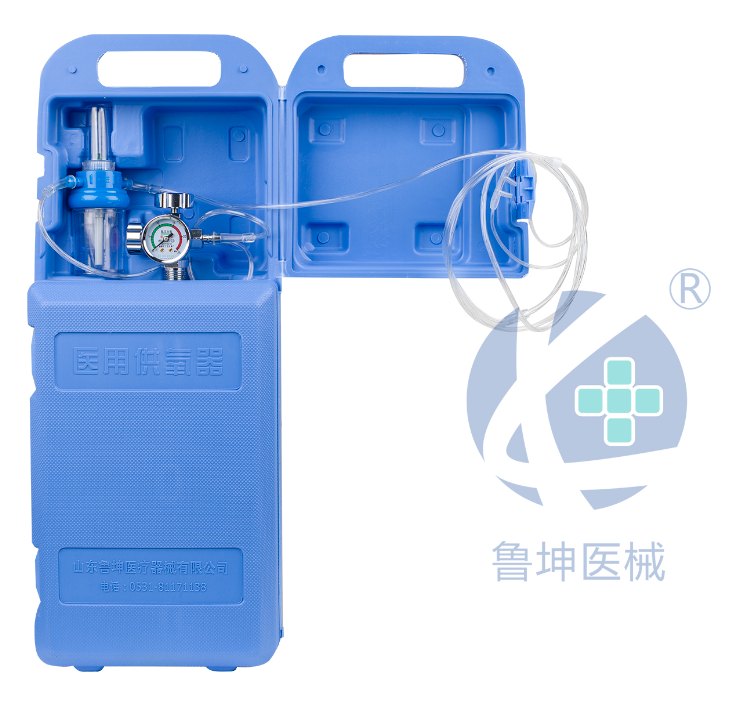 2L手提钢瓶单表套装 